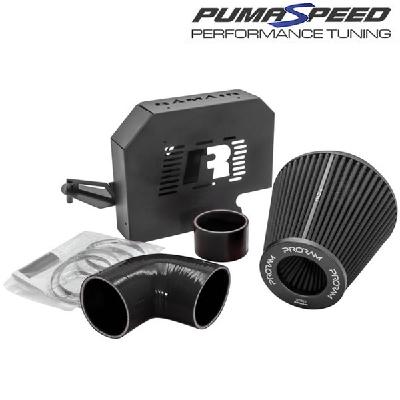 Ramair Group A Induction Kit Focus ST225